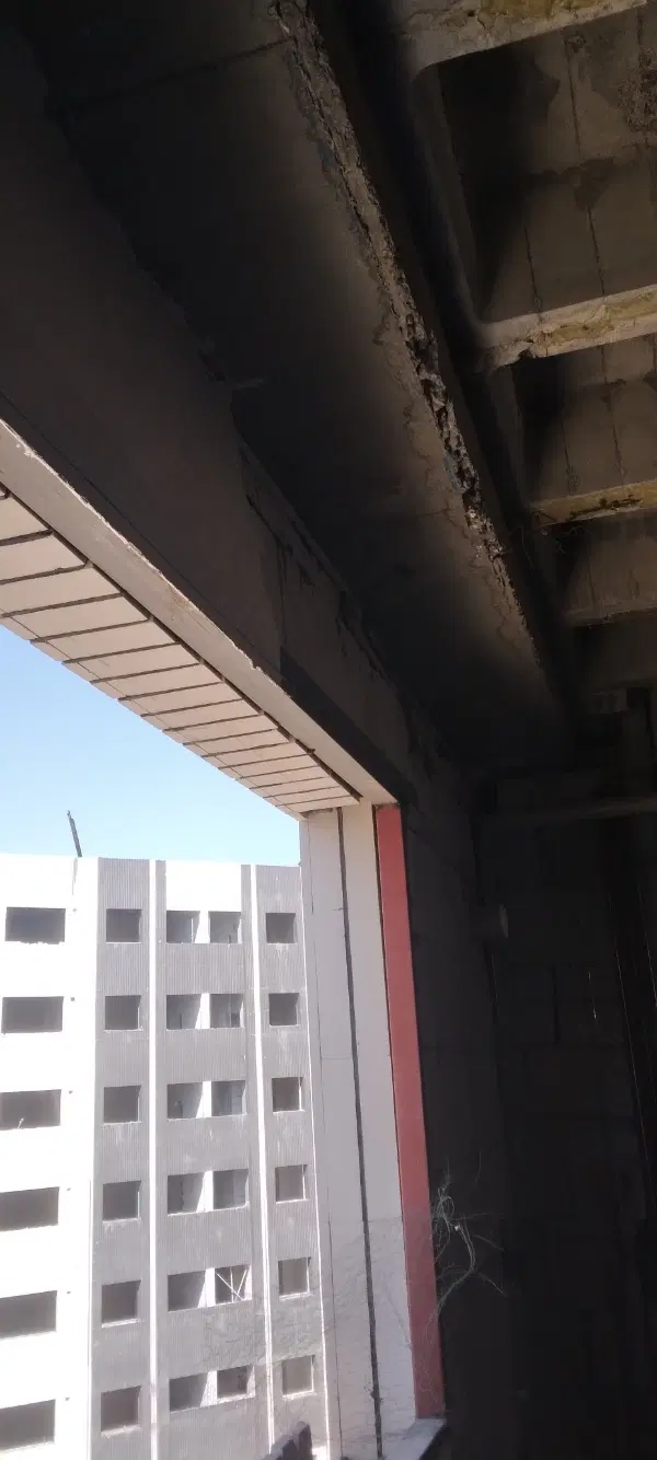 همخانه
