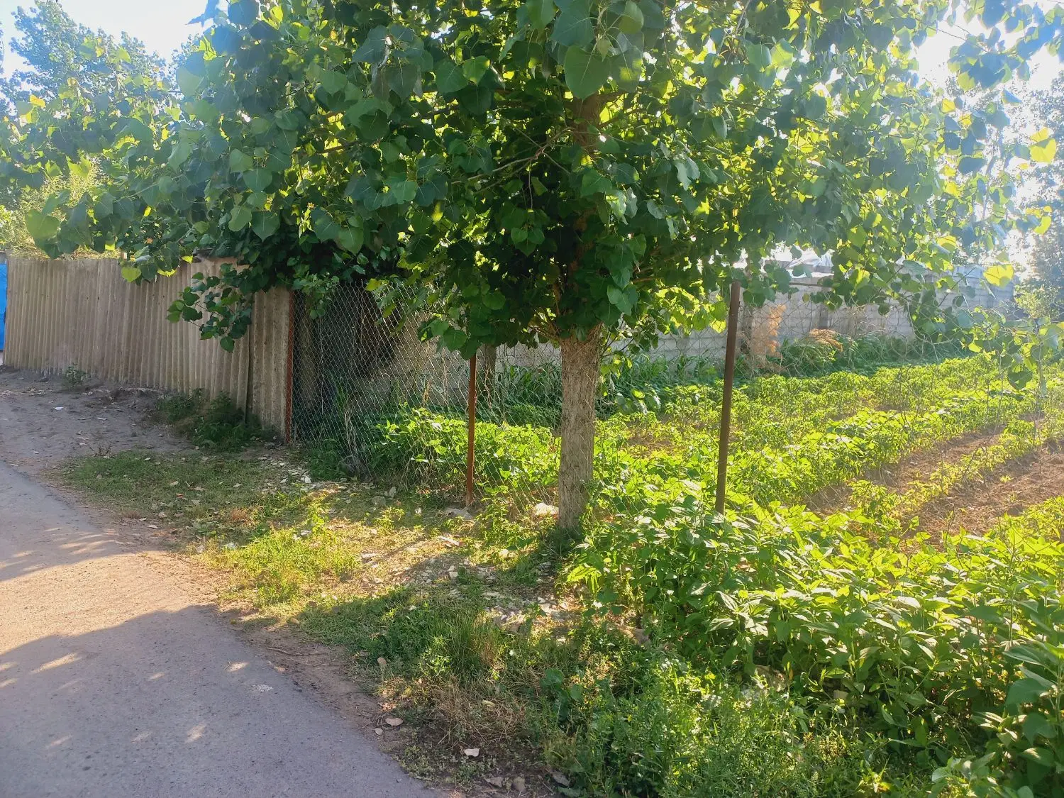 زمین ۳۸۰متری کاربری مسکونی با مجوز ساخت