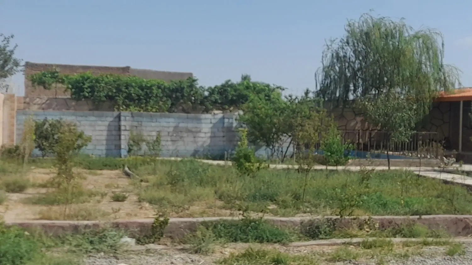 اجاره روزانه  باغ ویلا