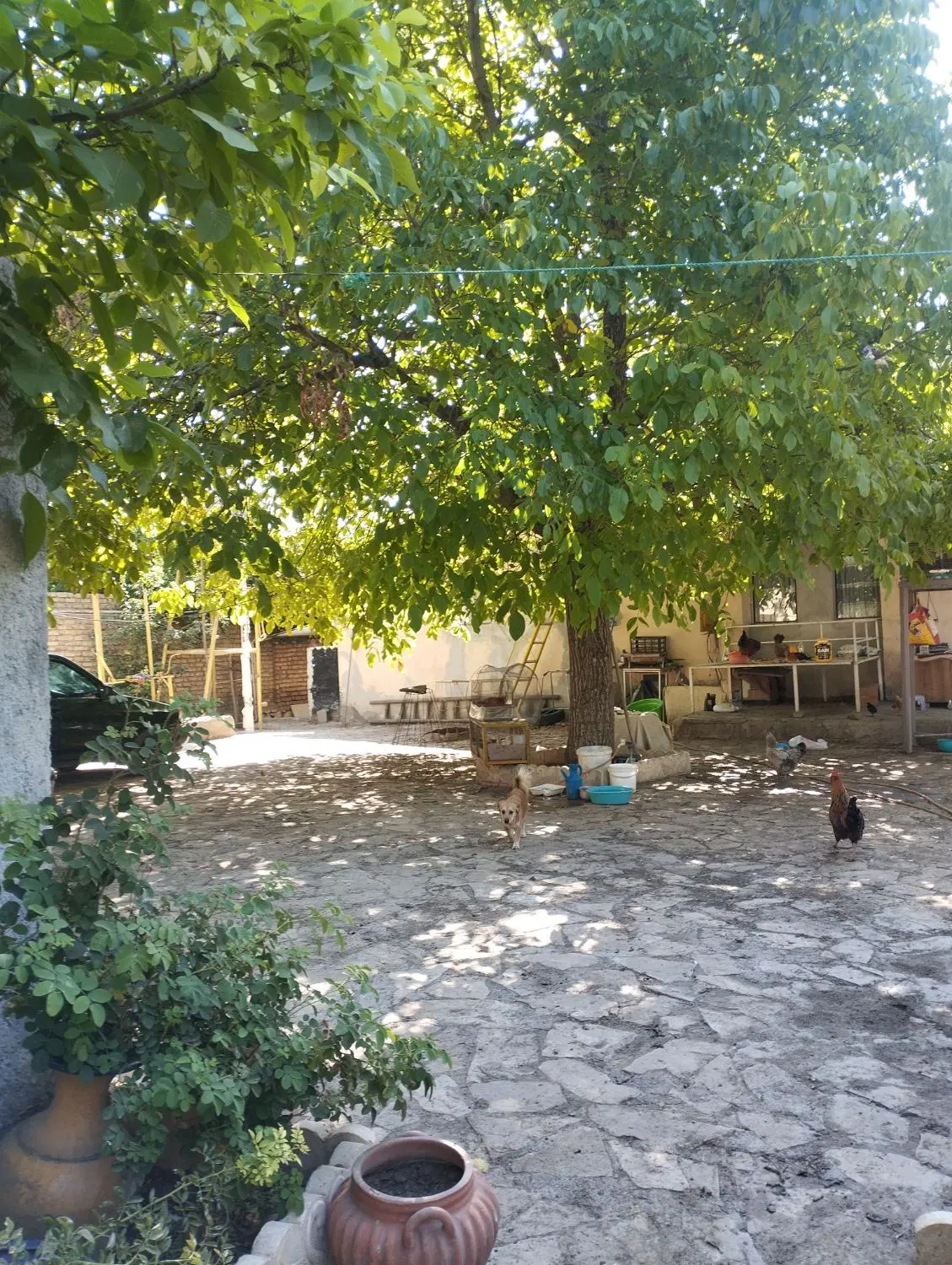 فروش باغ مسکونی