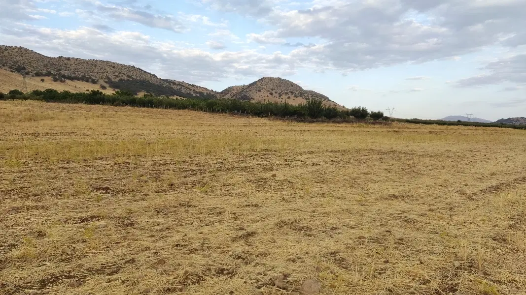 باغ زمین کشاورزی ملک