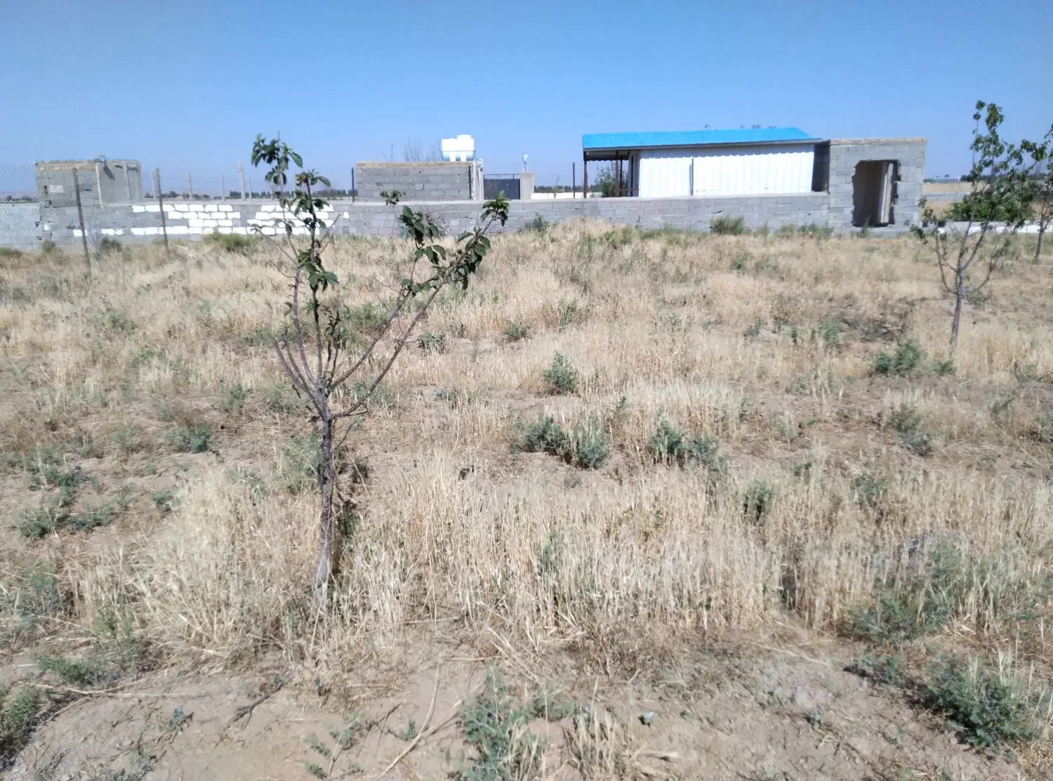 زمین کشاورزی نزدیک روستا