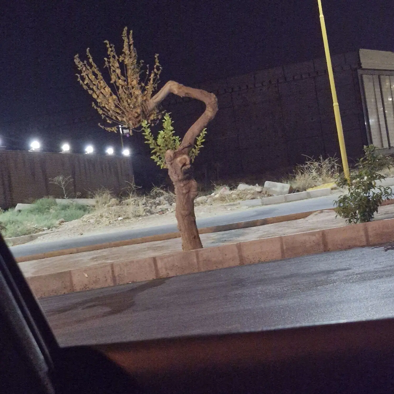 فروش تجاری