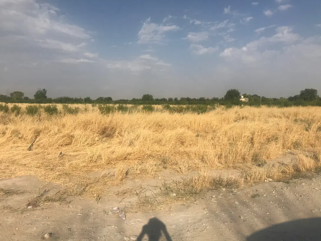 ۱۲۸۰ متر زمین موقعیت تجاری بر جاده شهریار کرج