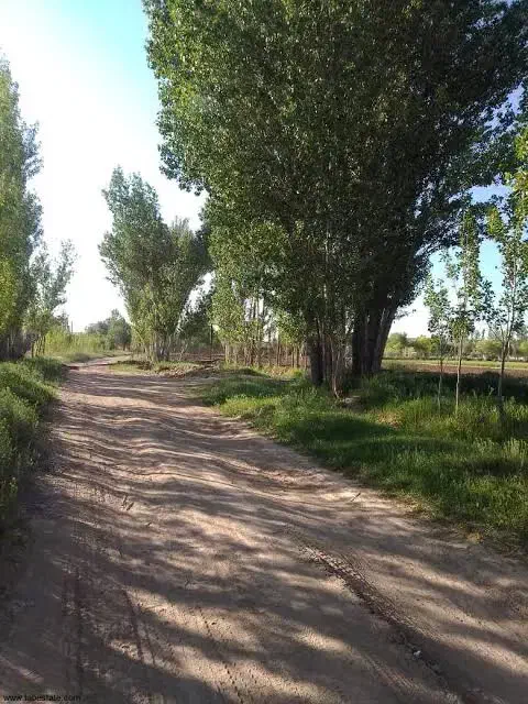 زمین ویلایی بصورت نقد و اقساط
