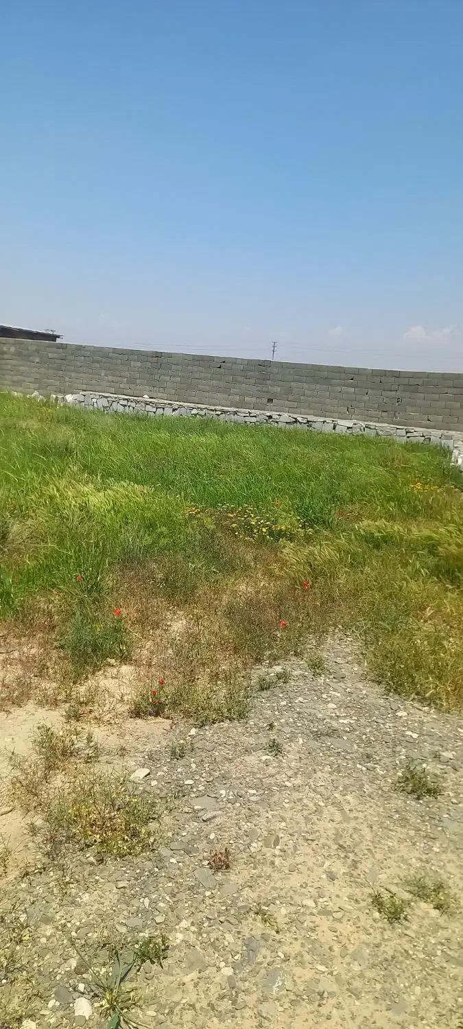 زمین فروشی در روستای جمعاب نزدیک گلبهار