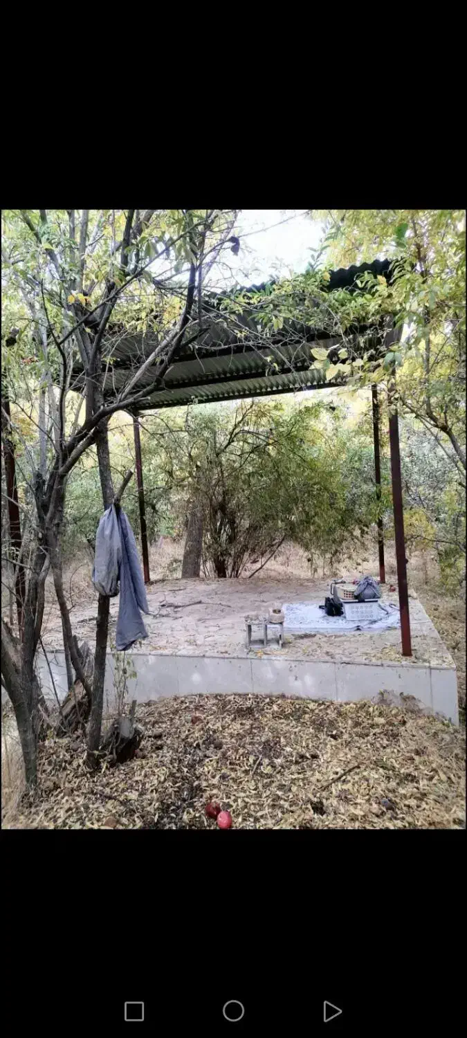 باغ مهریز