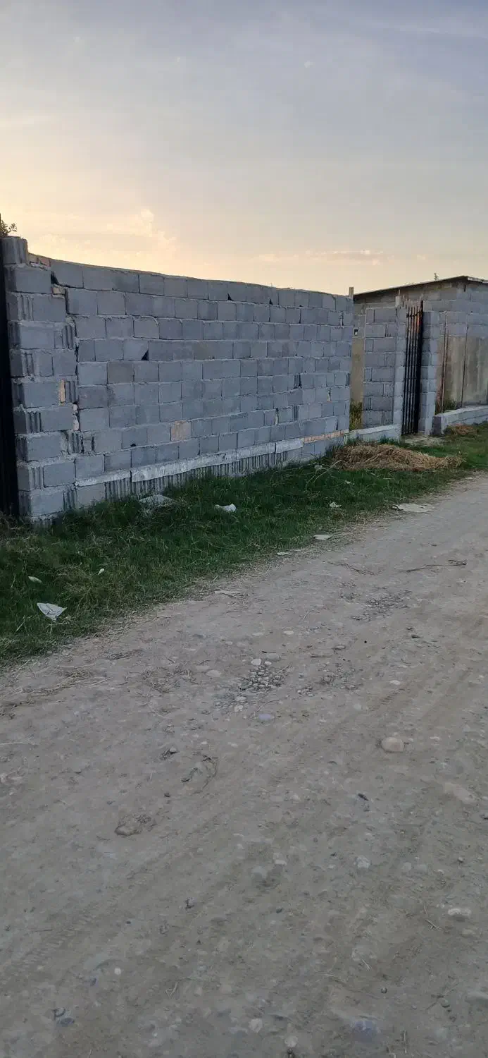 یک قطعه باغچه مرکبات عالی