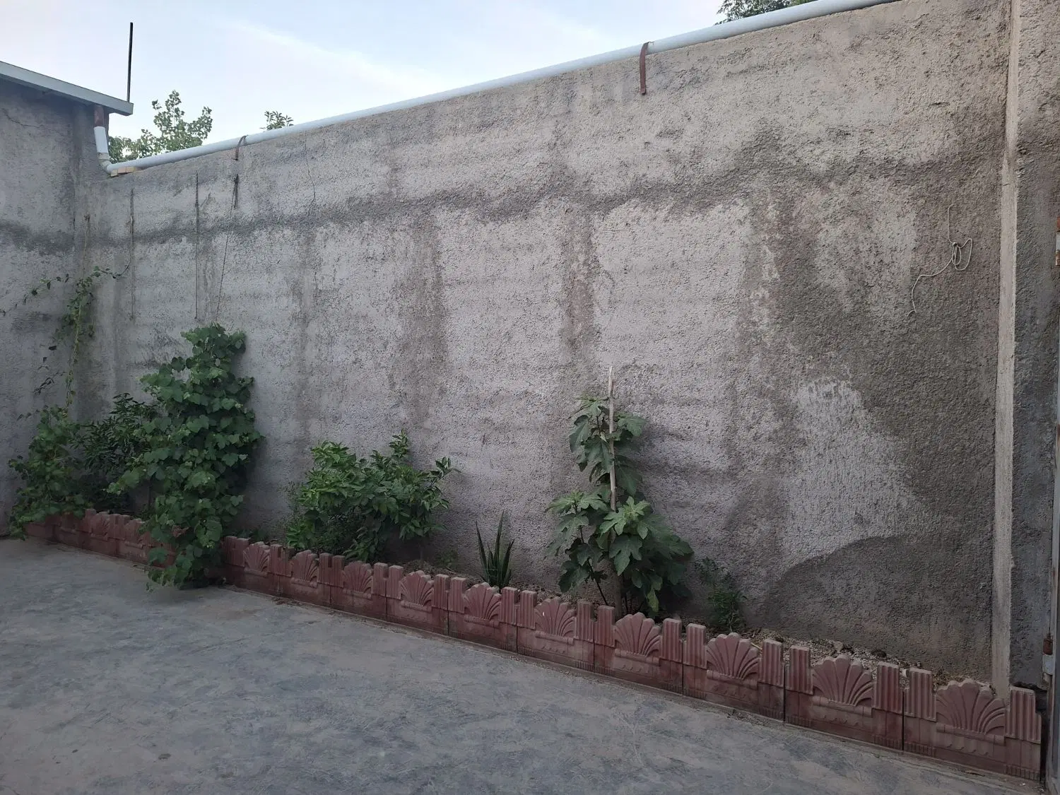 کارگاه