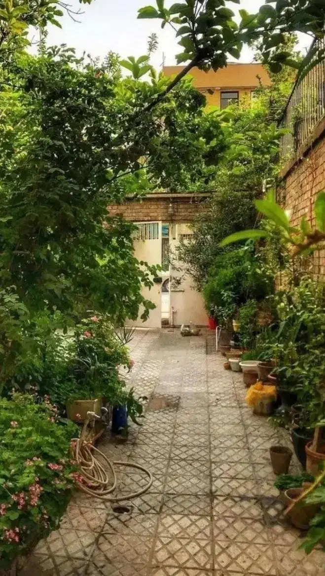 ملک کلنگی با سند تک برگ