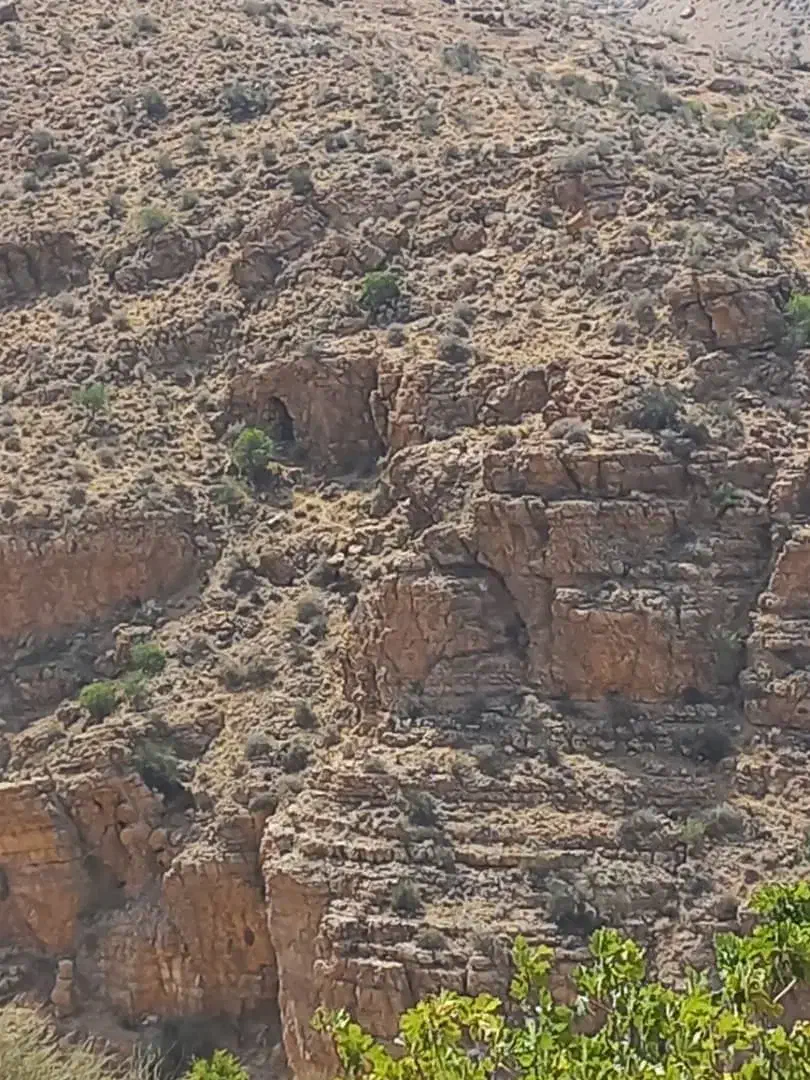 زمین در به حیاط