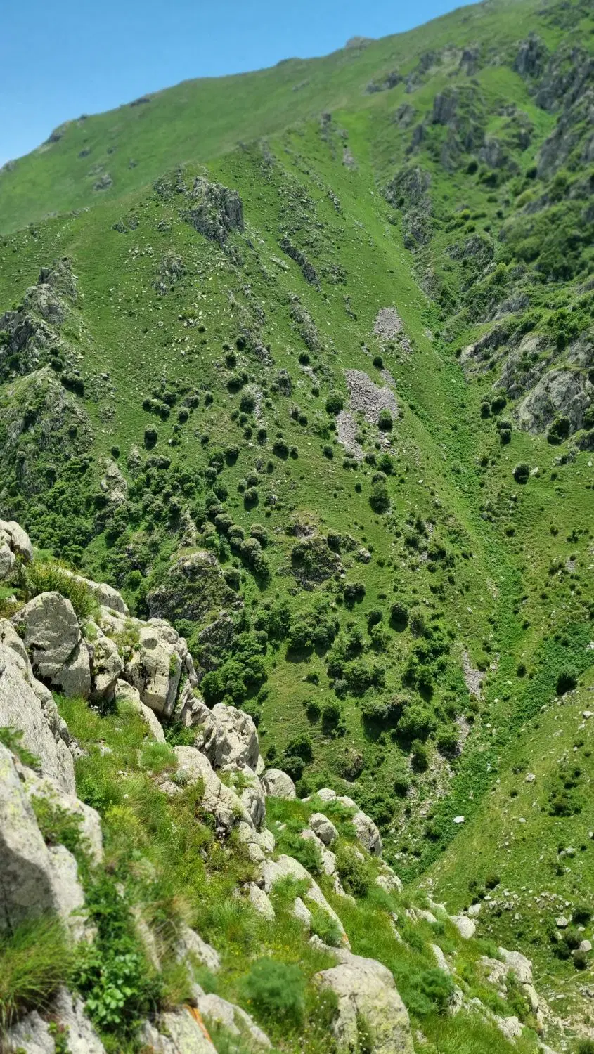 زمین دارایی