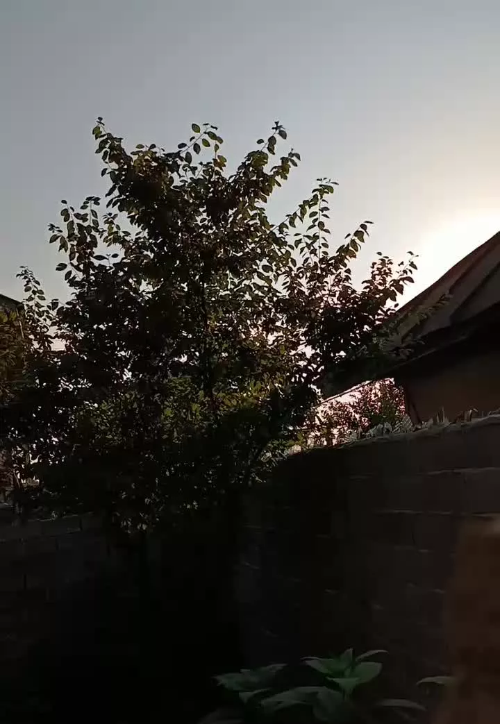 زمین نیمه کاره مناسب برای سرمایه‌گذاری