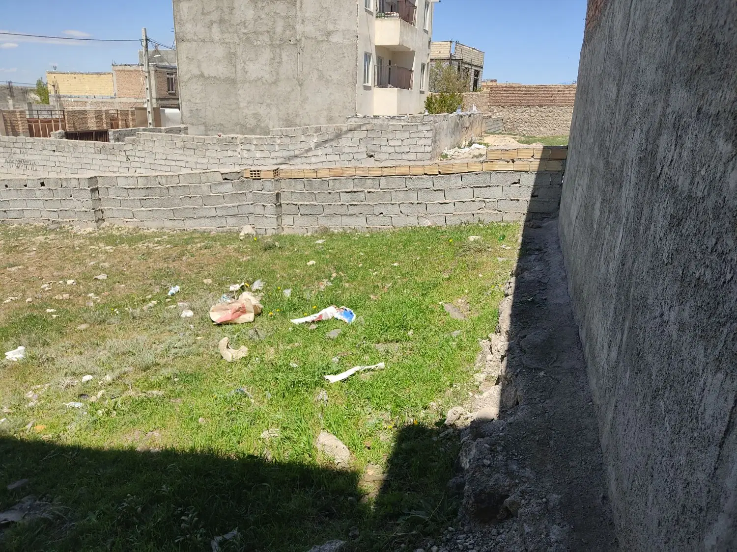زمین در شام اسبی