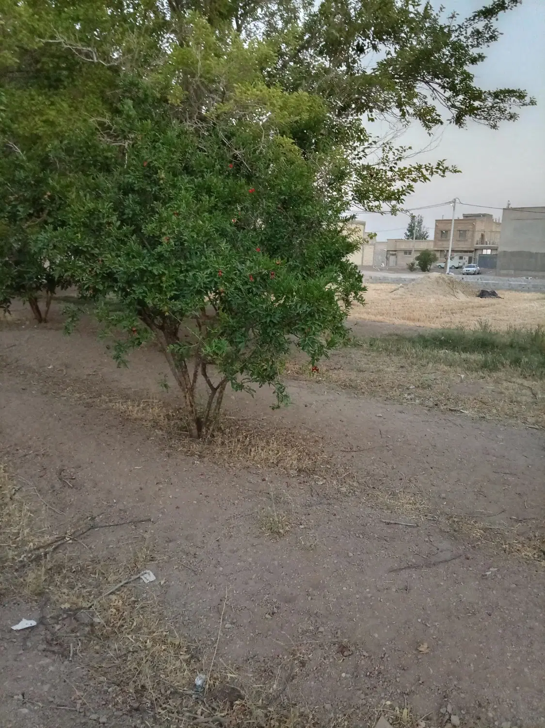 زمین قابل ساخت