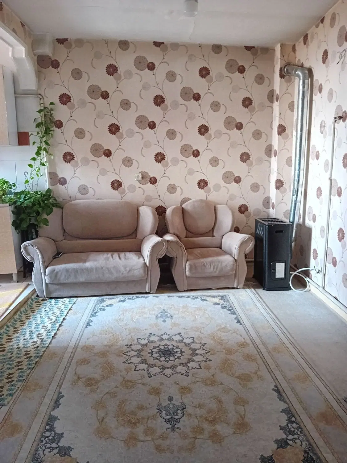 50متری پیشاهنگی