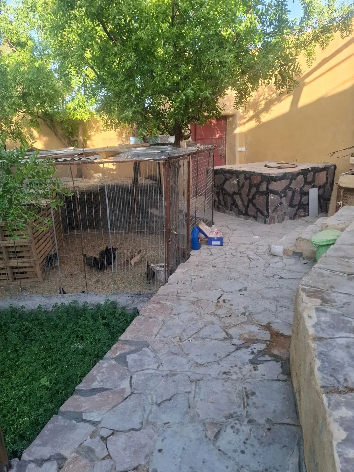 باغ ویلا که میگن اینه