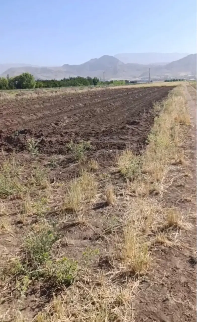 زمین کشاورزی آبی