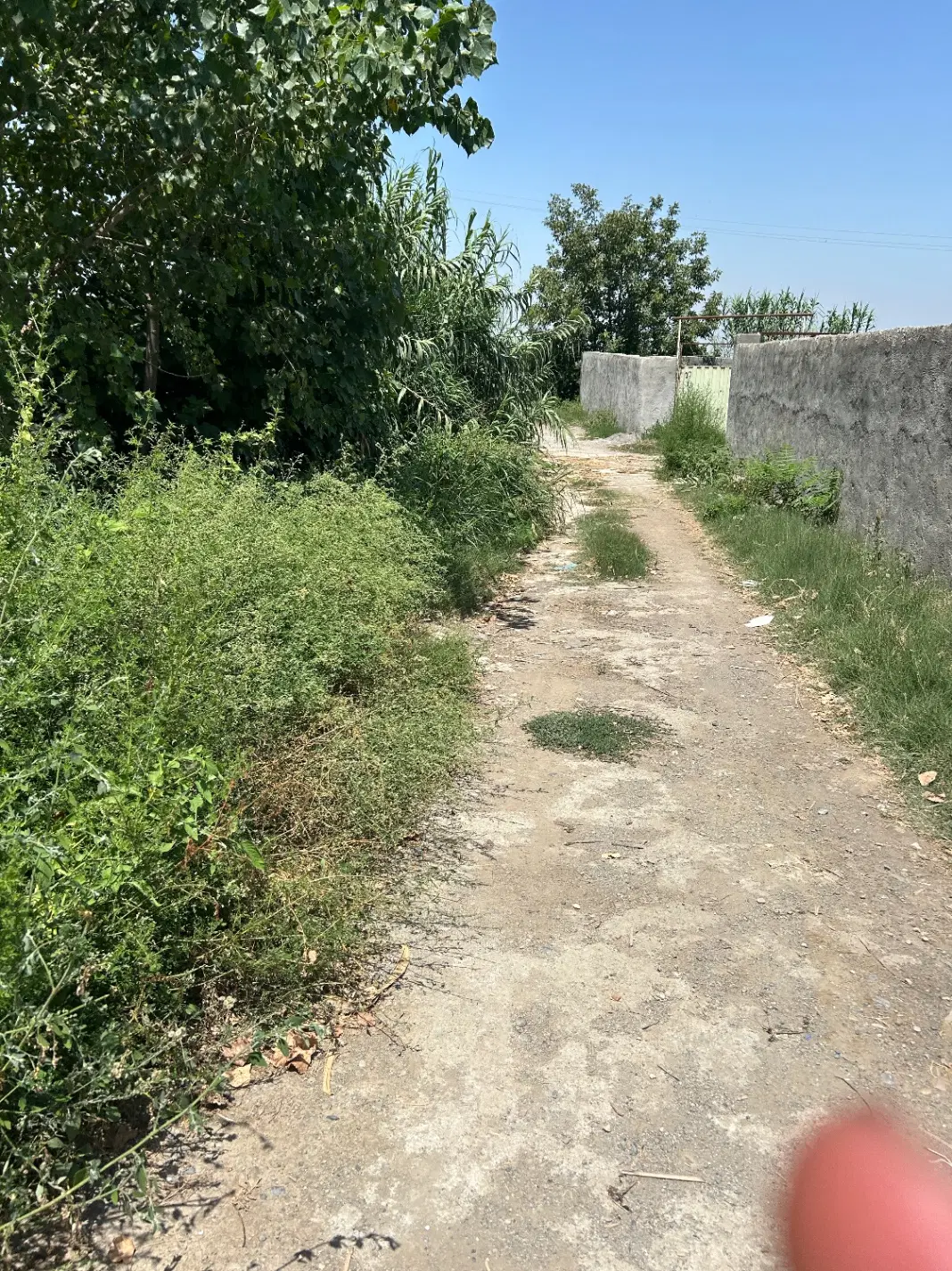 زمین ۱۵۰منری داخل بافت روستای دودانگه