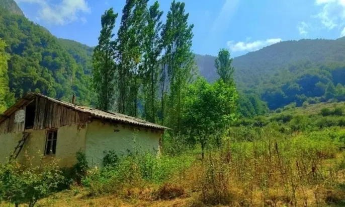 مشاور املاک پالم روستای زیارت