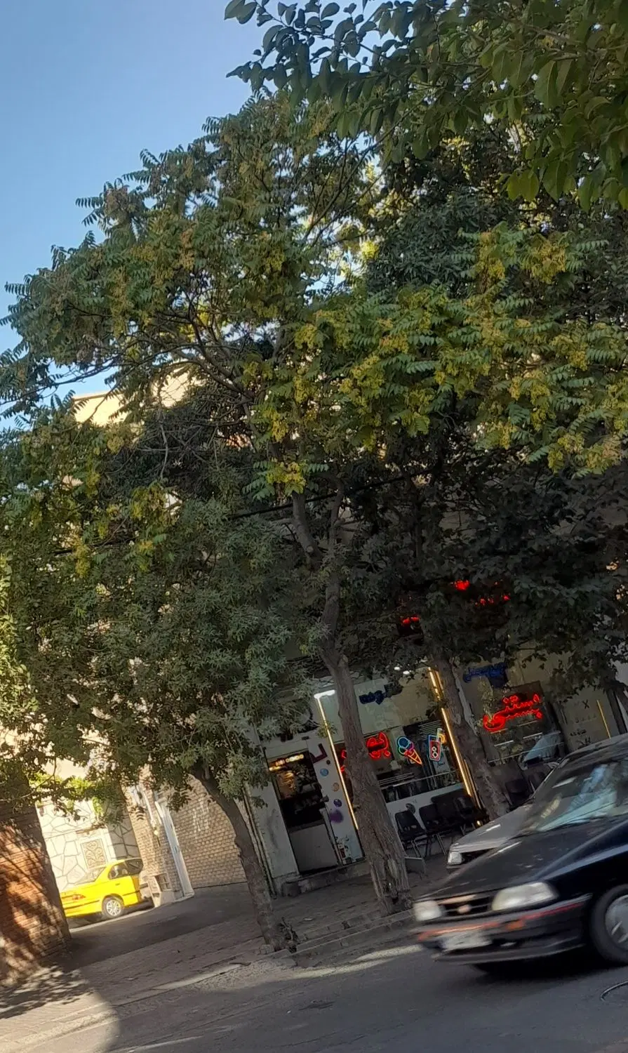 حیاط بر خیابان مارالان + مغازه