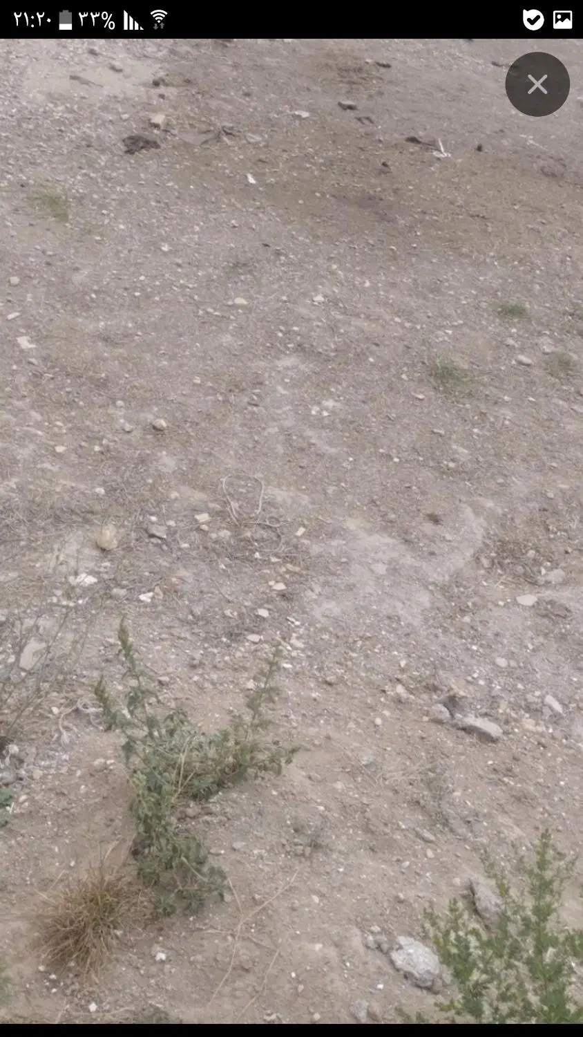 زمین مسکونی در چهارباغ