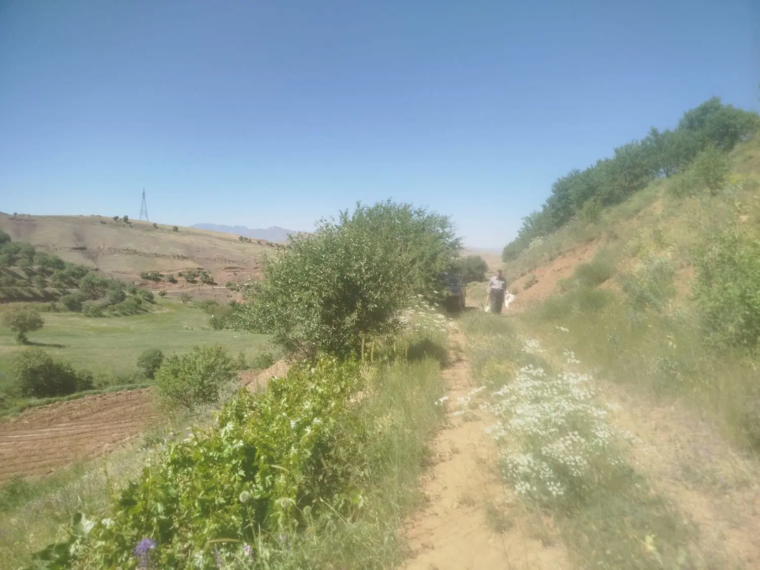فروش باغ چم اریز