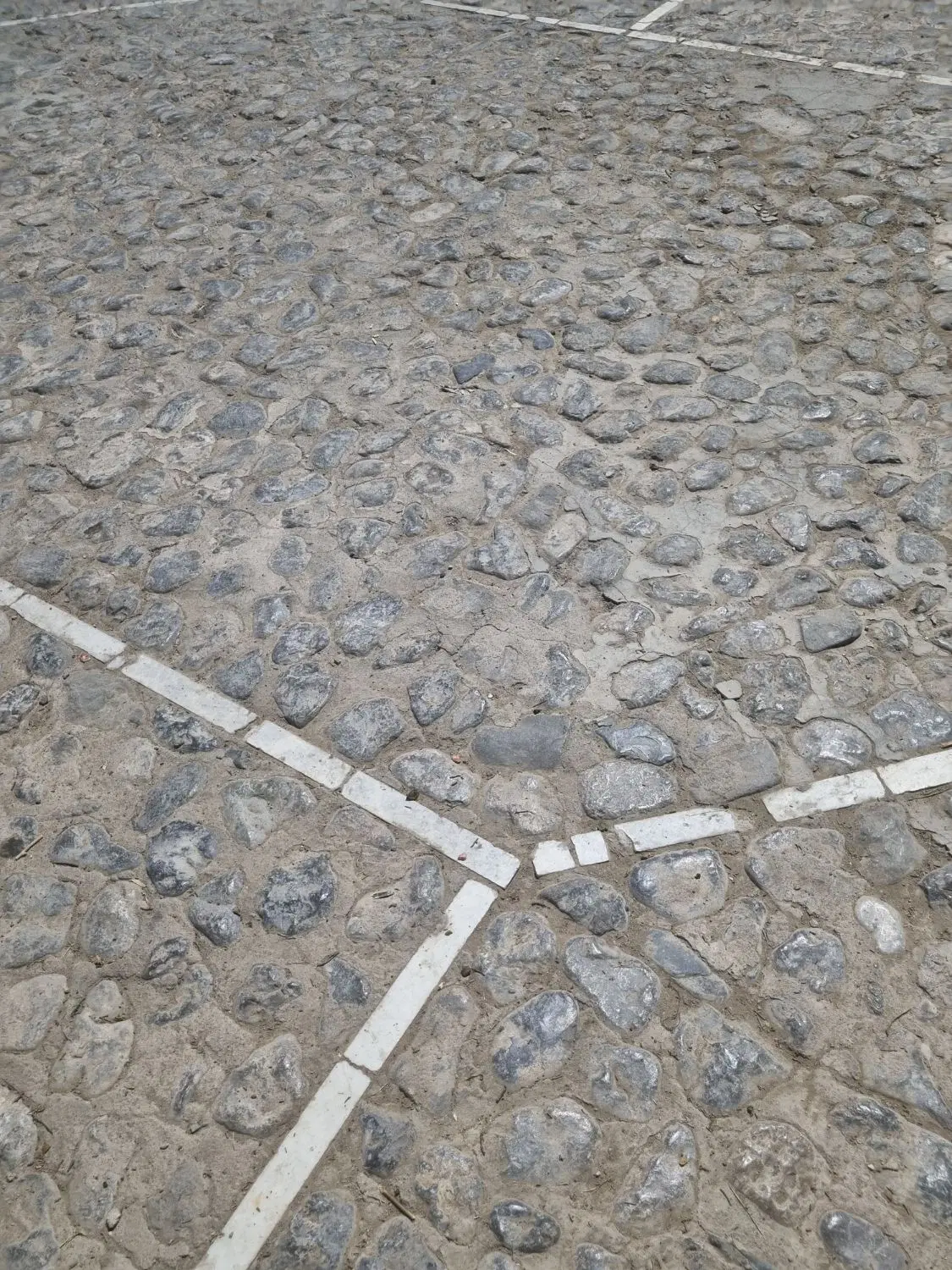 کارگاه تجاری