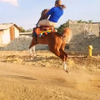 زمین چهاردیواری ابراهیم آبادفراهان
