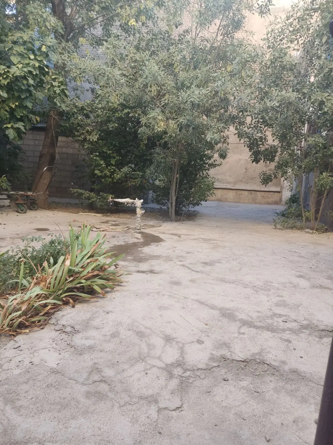 ملک کلنگی  مرکز شهر