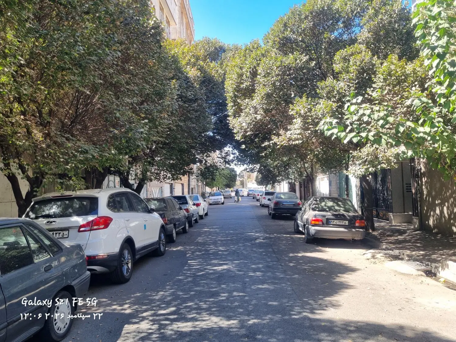 بهترین کلنگی منطقه در بهترین لوکیشن بر ۱۵ گذر۱۲