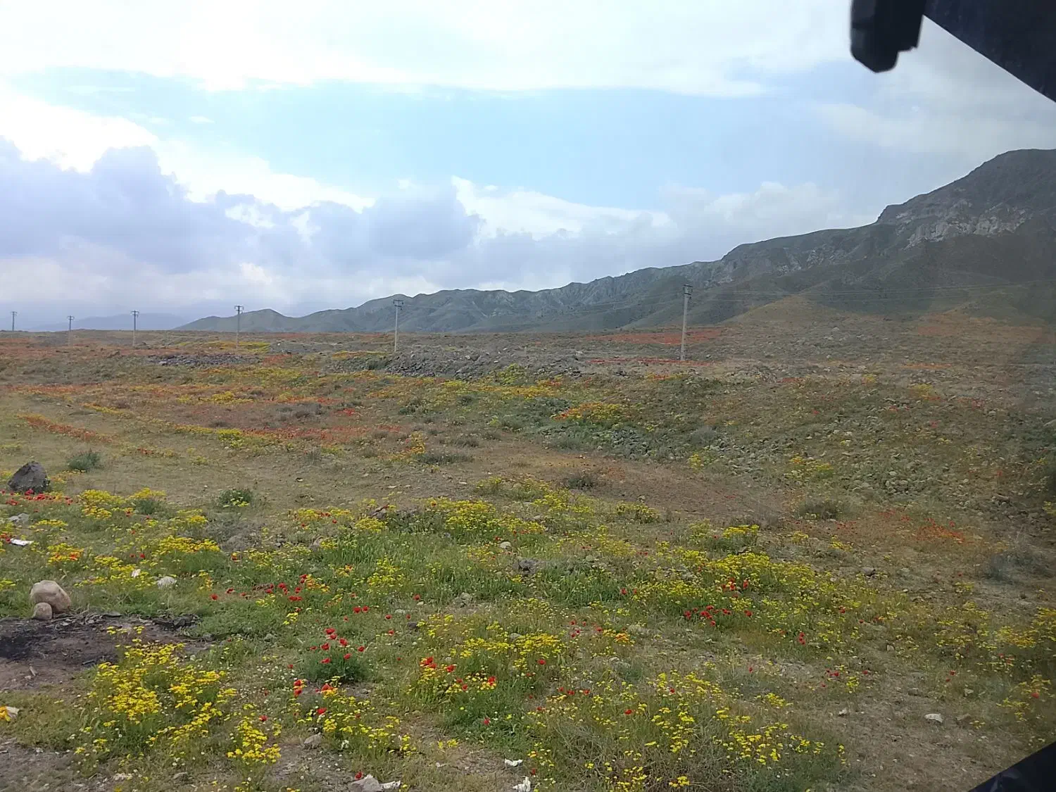 زمین آینده دار