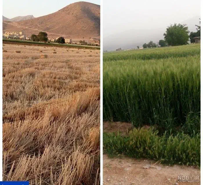 زمین کشاورزی ۶۰۰ متر