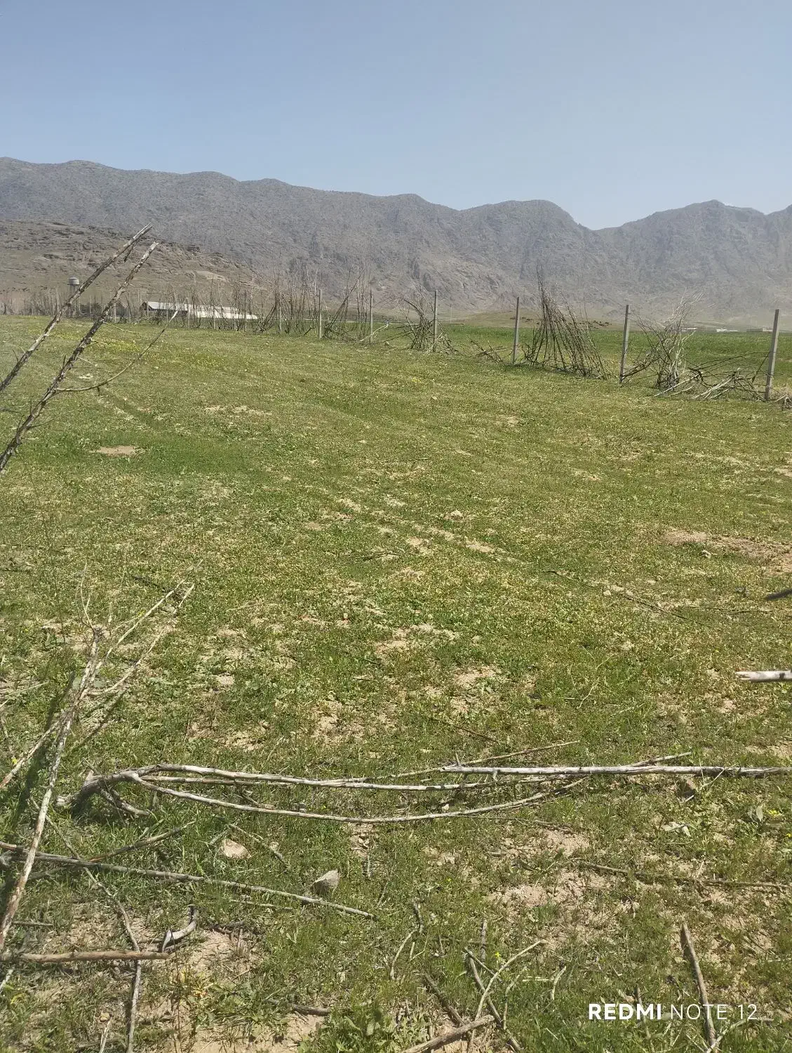 زمین باغی کمالوند ۴۸۰ متر