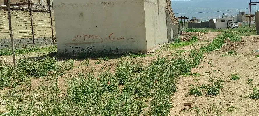 زمین