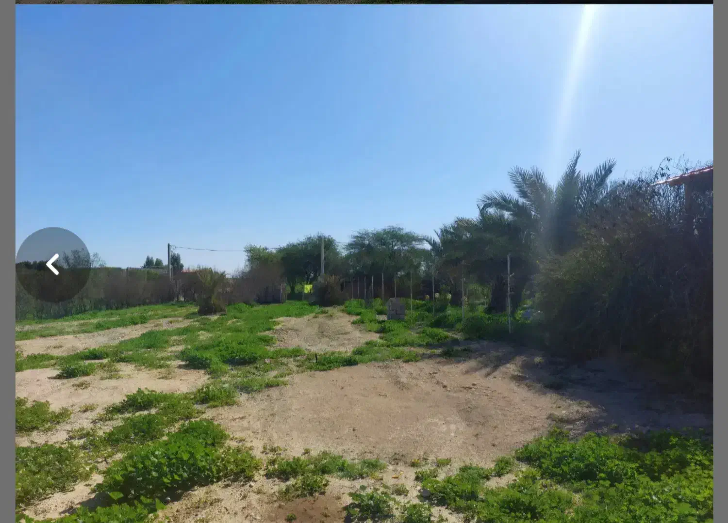 زمین باغ ویلا