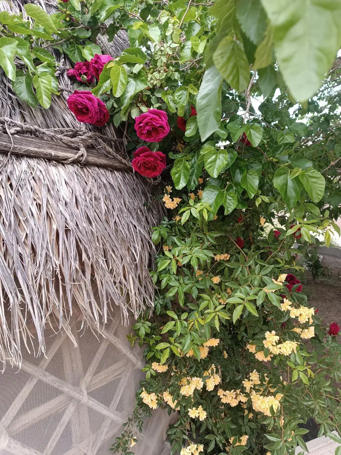 خانه نوساز چمران توضیحات را بخوانید