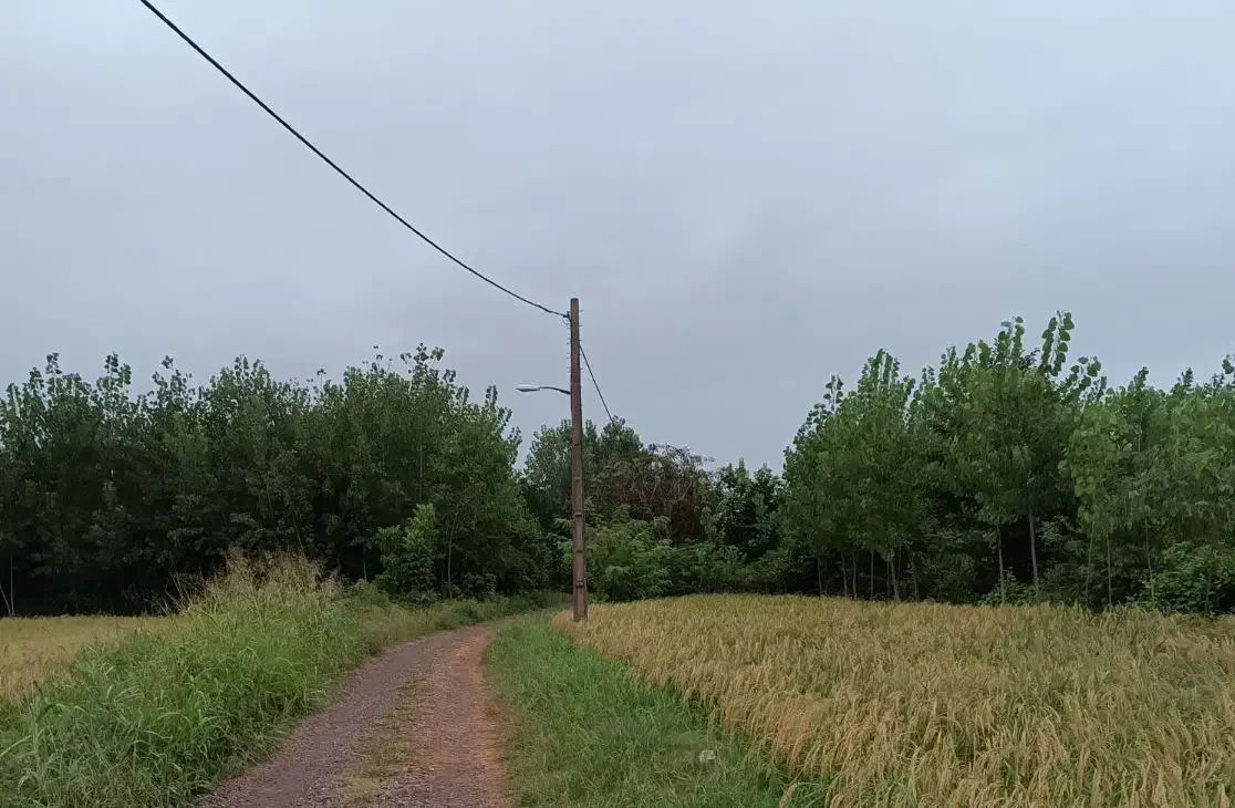 زمین مسکونی ۶۵۰ متر
