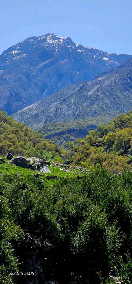 تهاتر با ملک کلنگی یا آپارتمان
