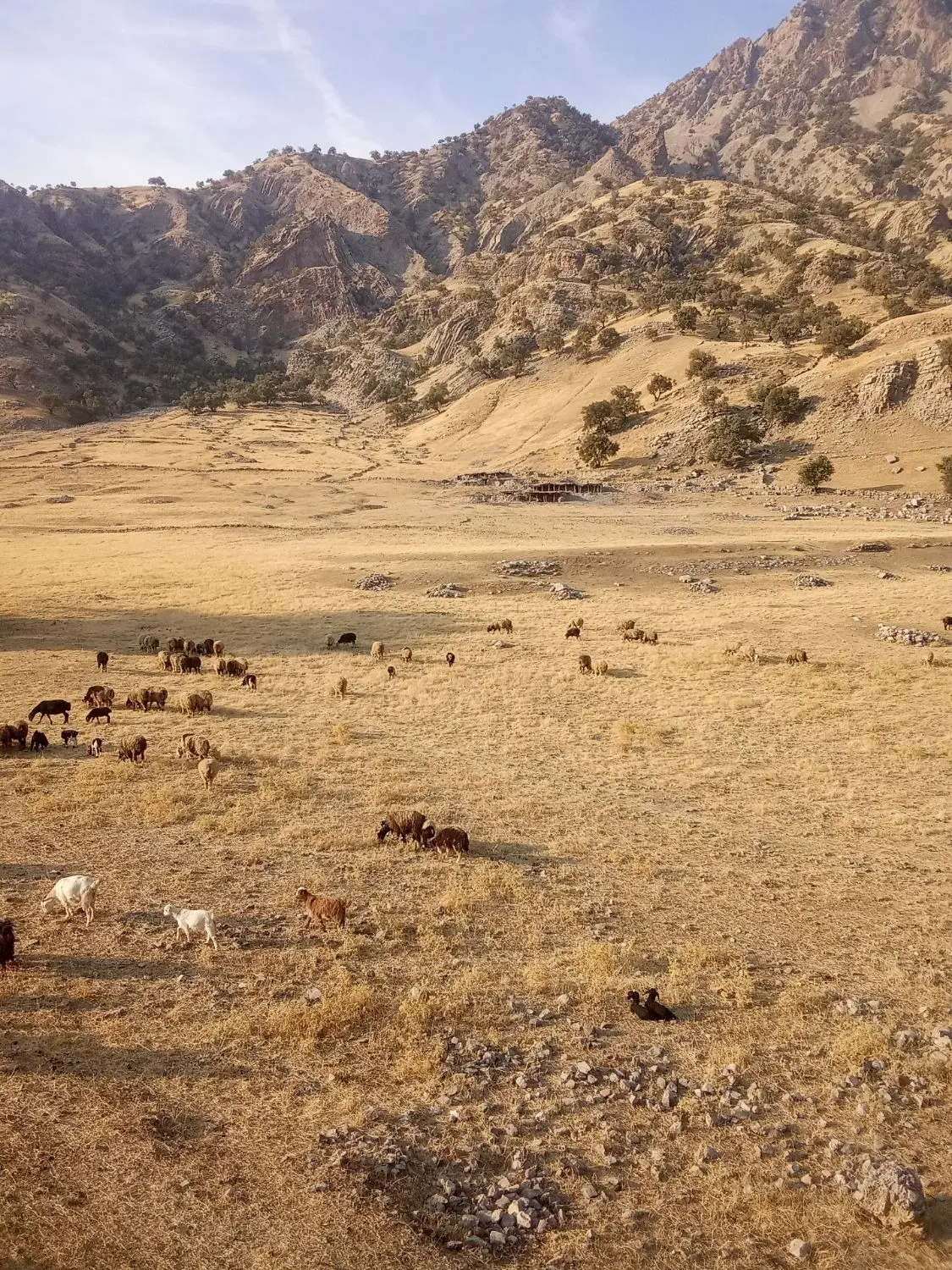 ۲۴۲ متر خانه در روستای انجیرک