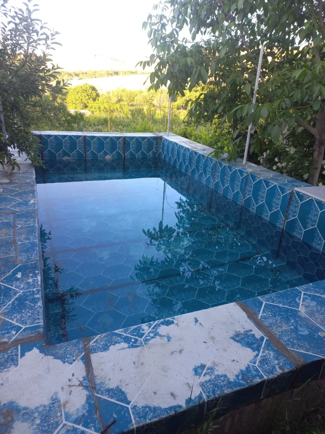 باغ در روستای ایوک