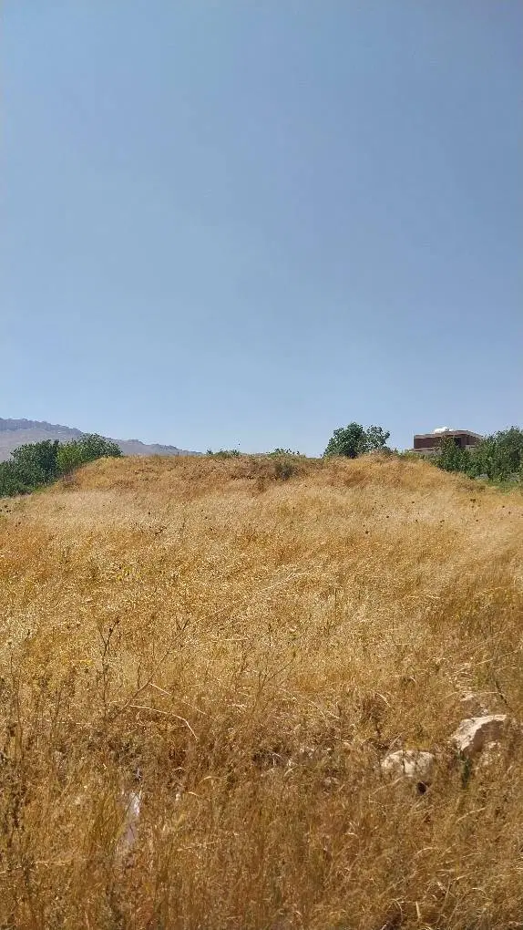 فروس زمین زراعی