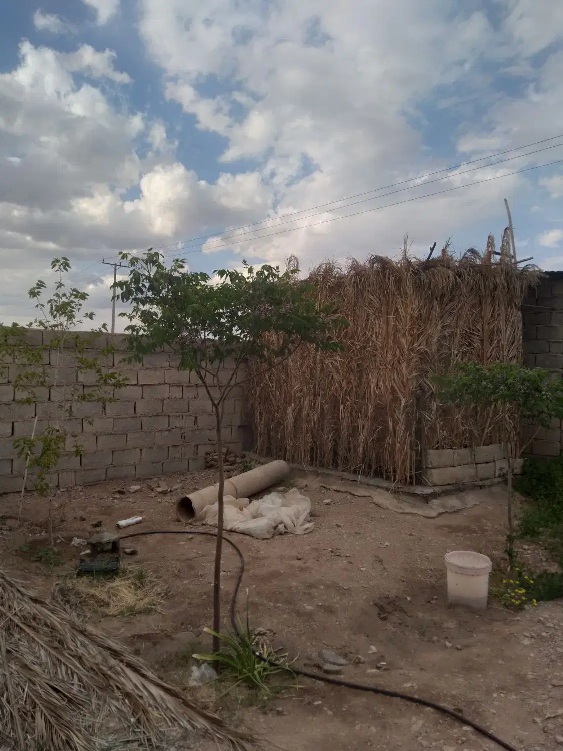دامداری یا باغ
