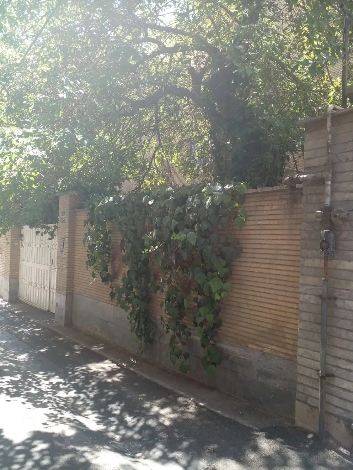 اجاره آپارتمان ۵۵ متری