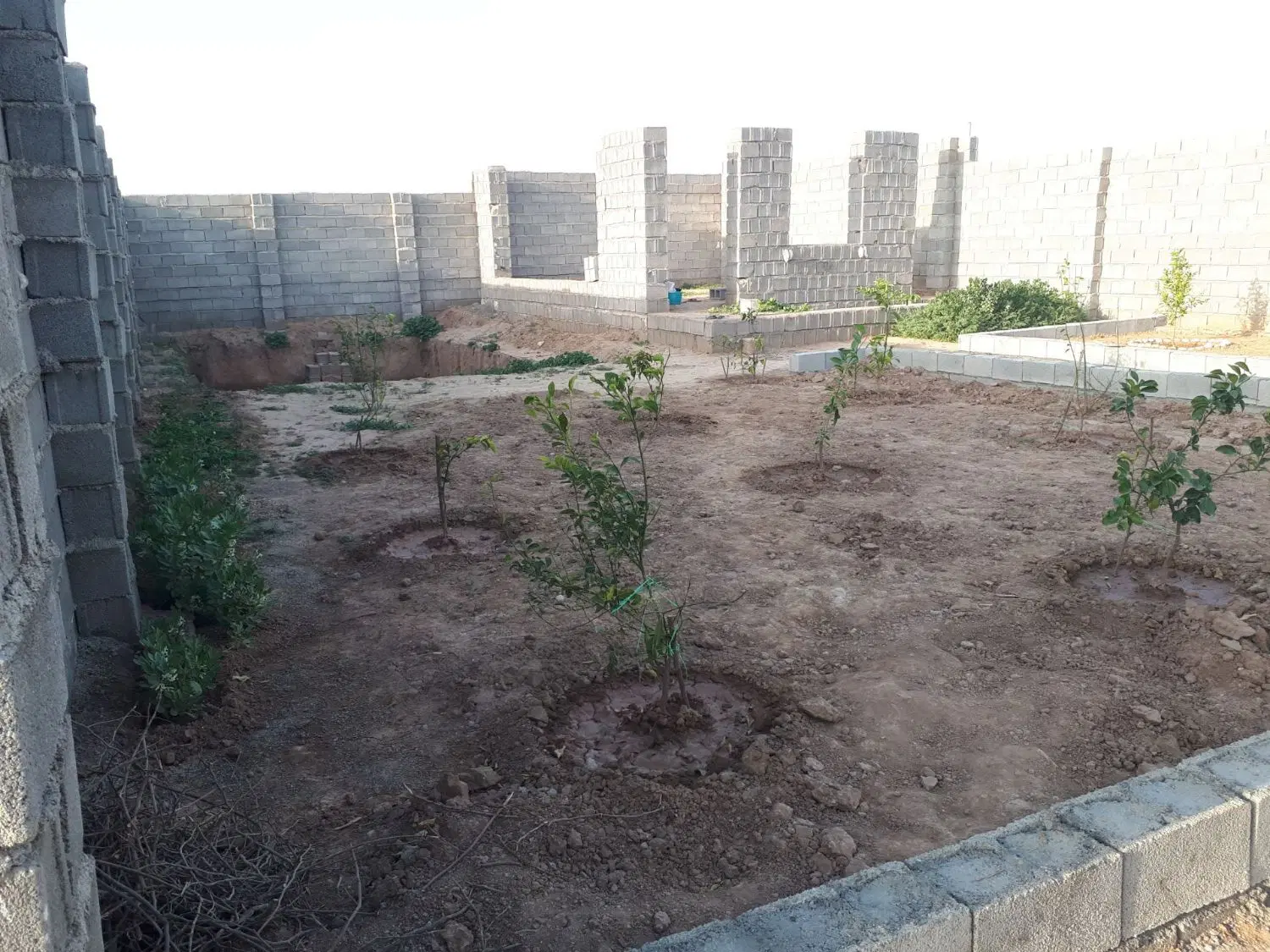 باغچه نیمه ساز