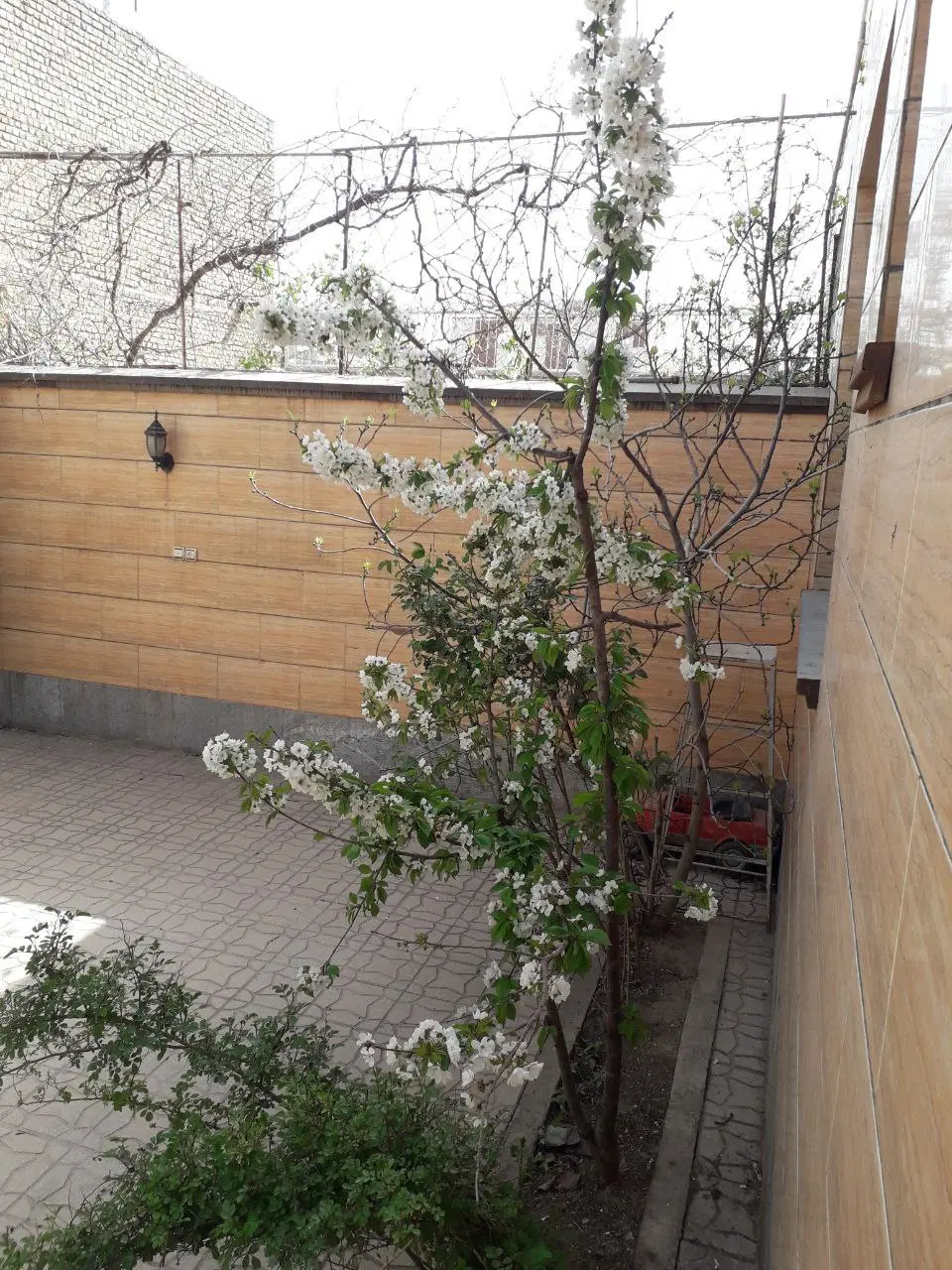 ۲طبقه ویلایی