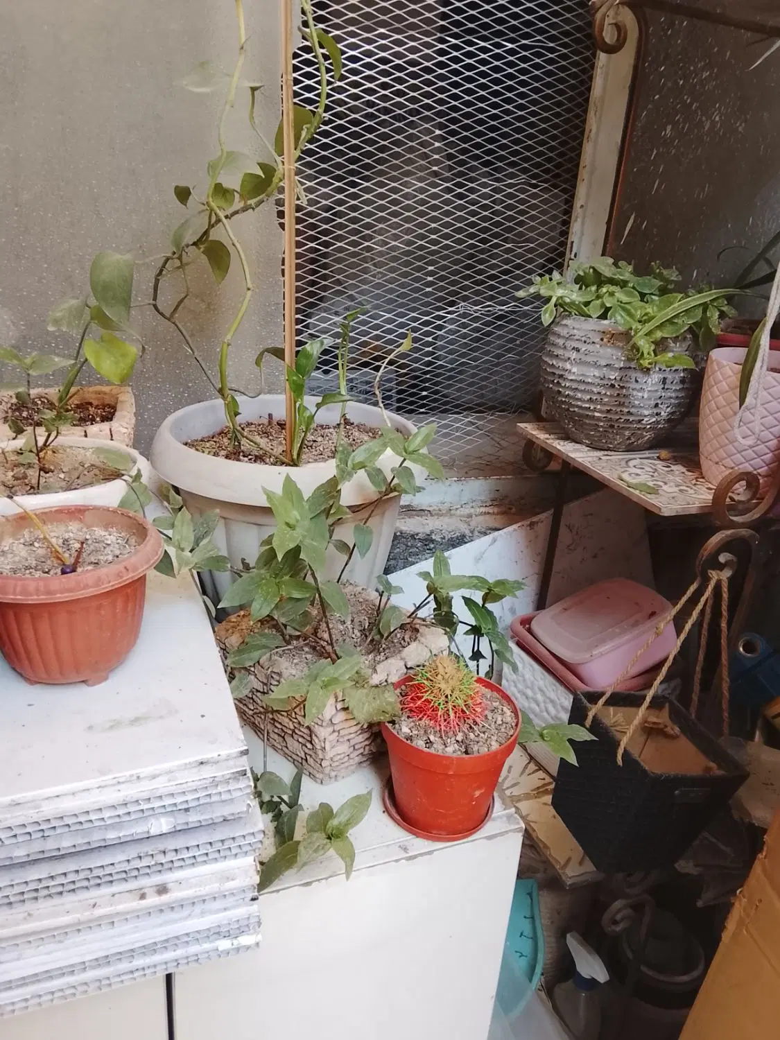 اتاق اجاره ای