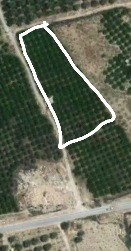 زمین باغ