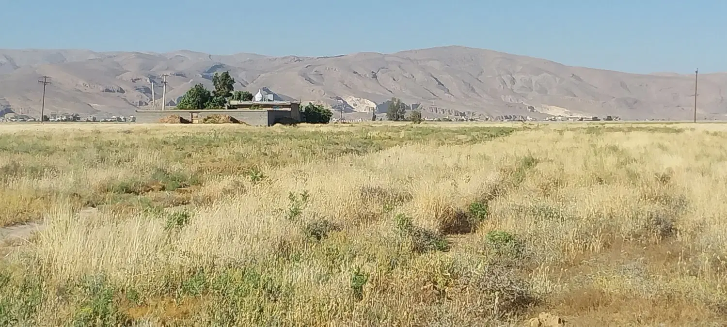 زمین 200 متری دودمان