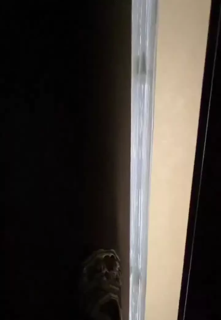 آپارتمان